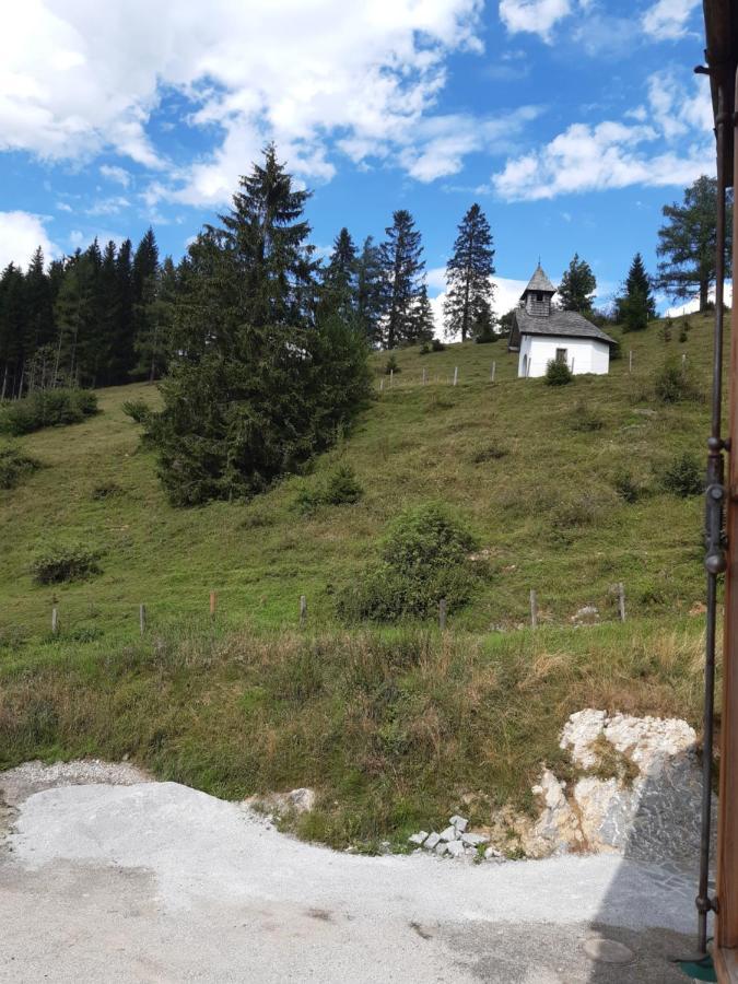 Sonnleit'N Zimmer 6 Abtenau Exteriör bild