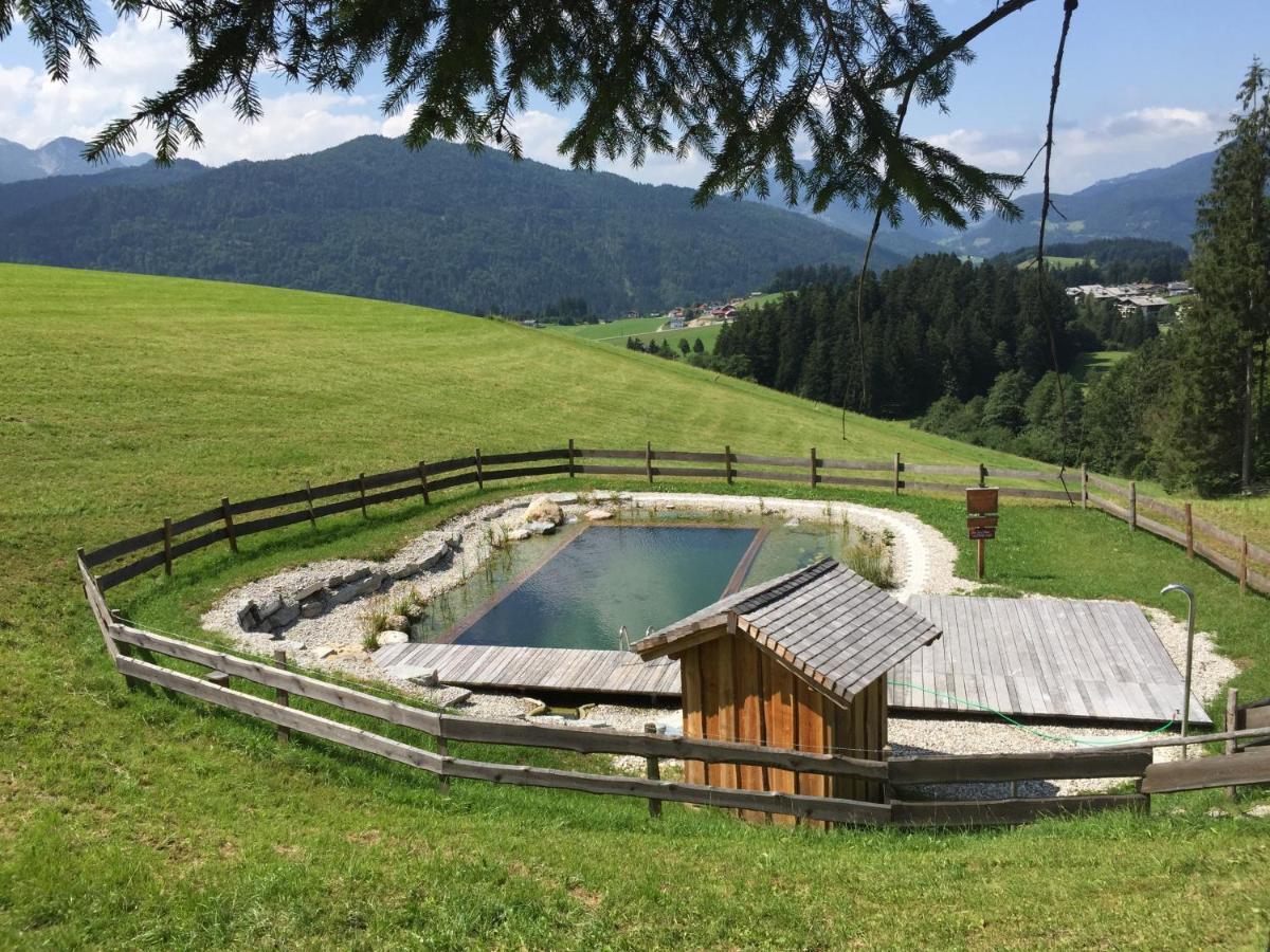 Sonnleit'N Zimmer 6 Abtenau Exteriör bild