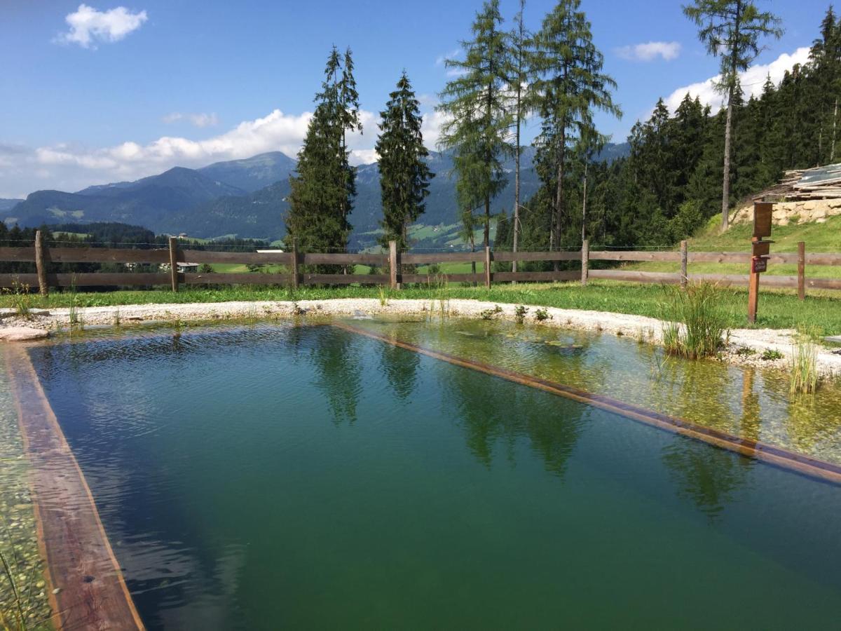 Sonnleit'N Zimmer 6 Abtenau Exteriör bild