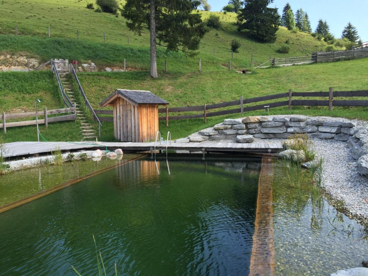 Sonnleit'N Zimmer 6 Abtenau Exteriör bild