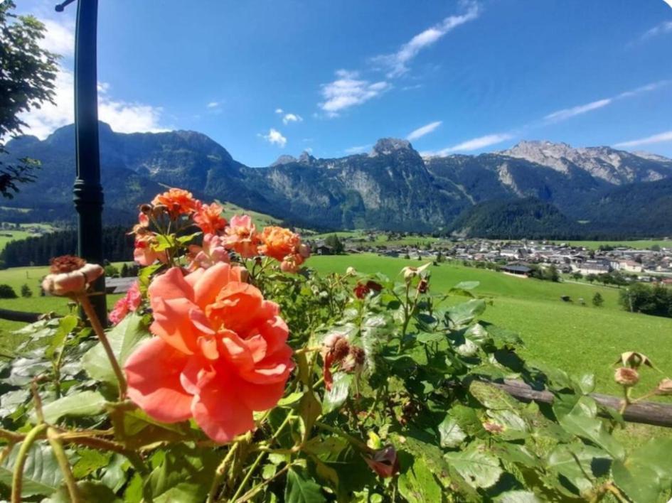 Sonnleit'N Zimmer 6 Abtenau Exteriör bild
