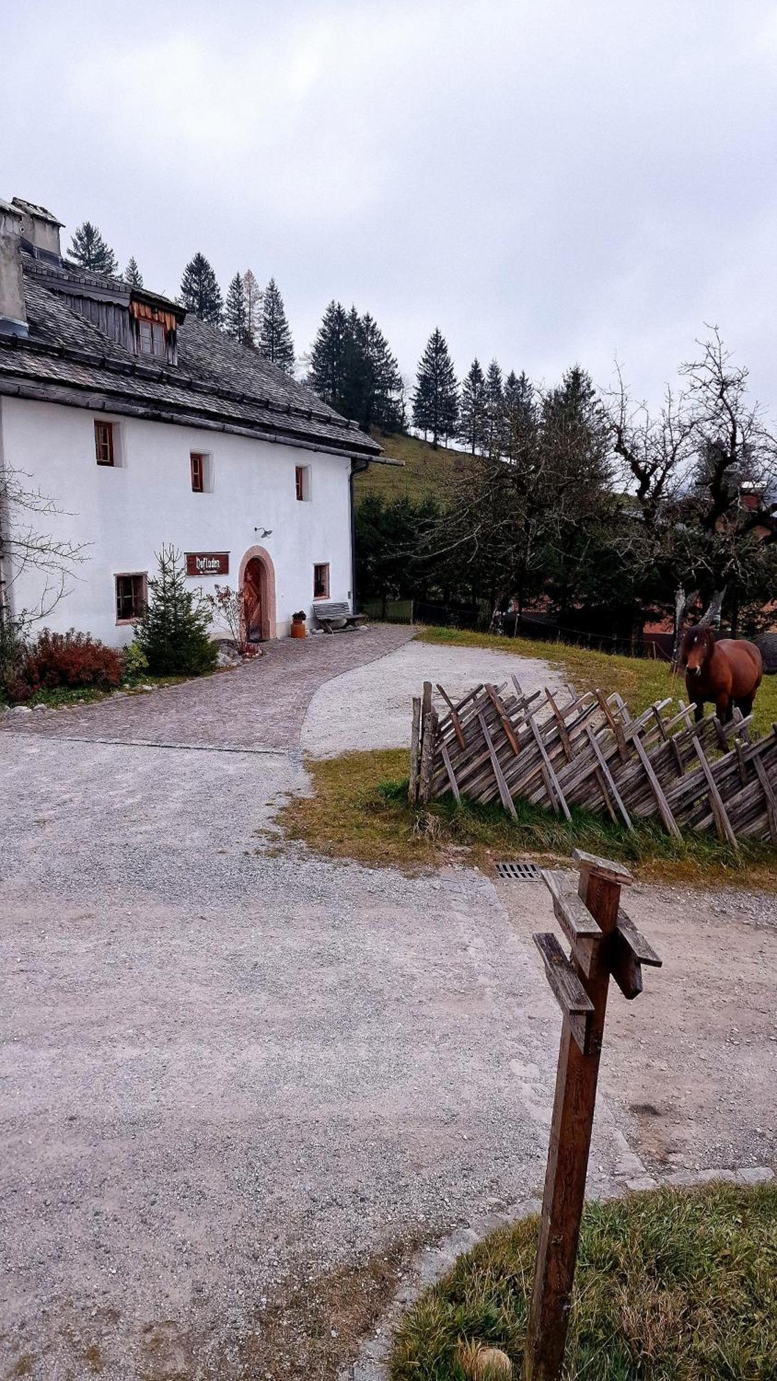 Sonnleit'N Zimmer 6 Abtenau Exteriör bild